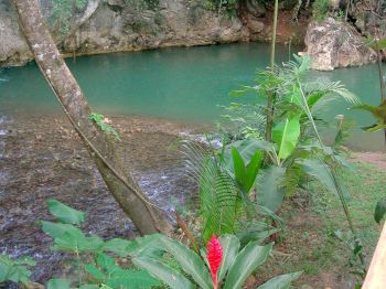 Table Rock Jungle Lodge