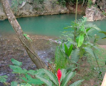 Table Rock Jungle Lodge