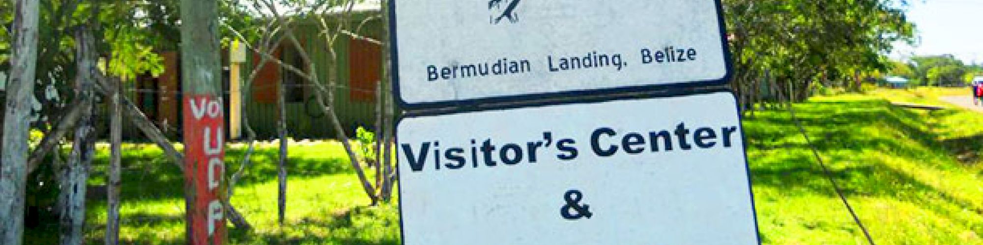 Baboon Sanctuary Sign 00x500 Jpg Nc