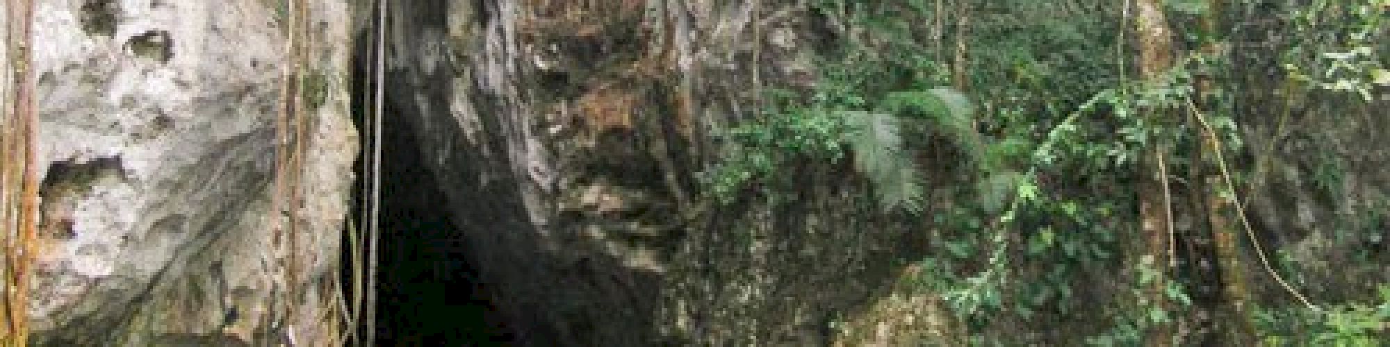 Table Rock Jungle Lodge