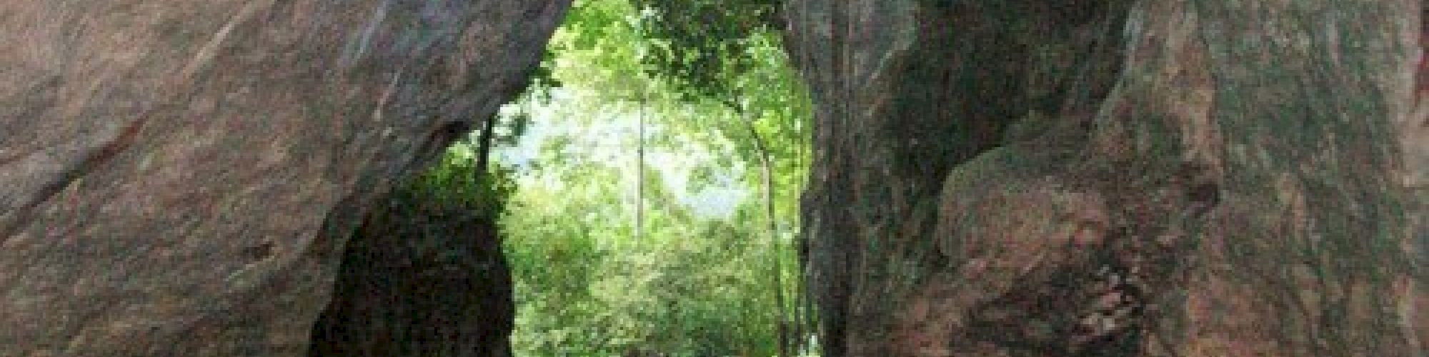Table Rock Jungle Lodge