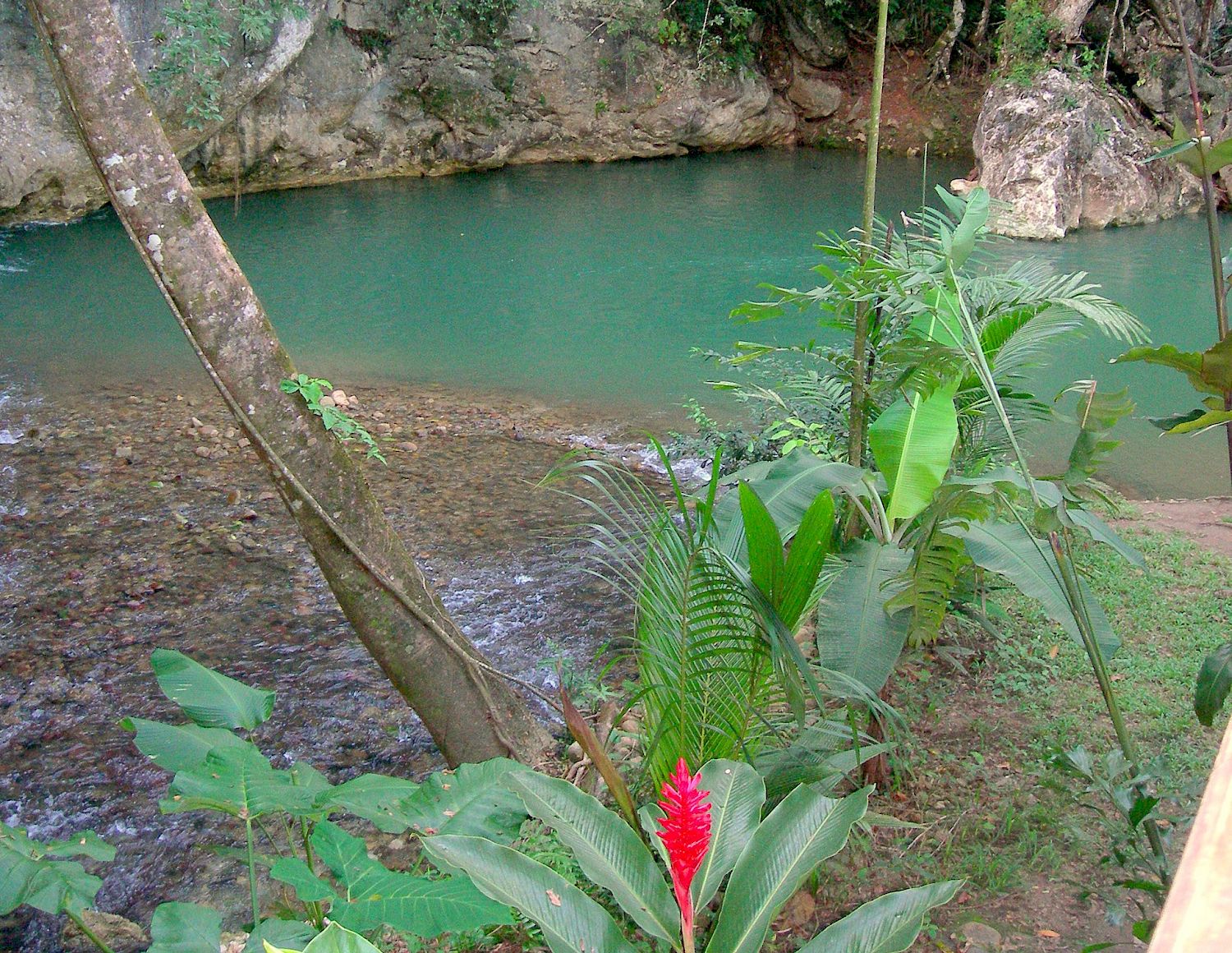 Barton Creek Cave Canoeing