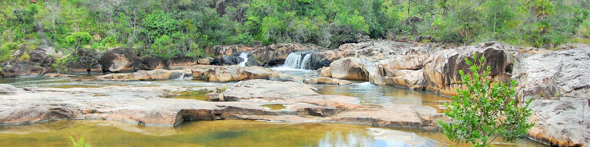 Table Rock Jungle Lodge