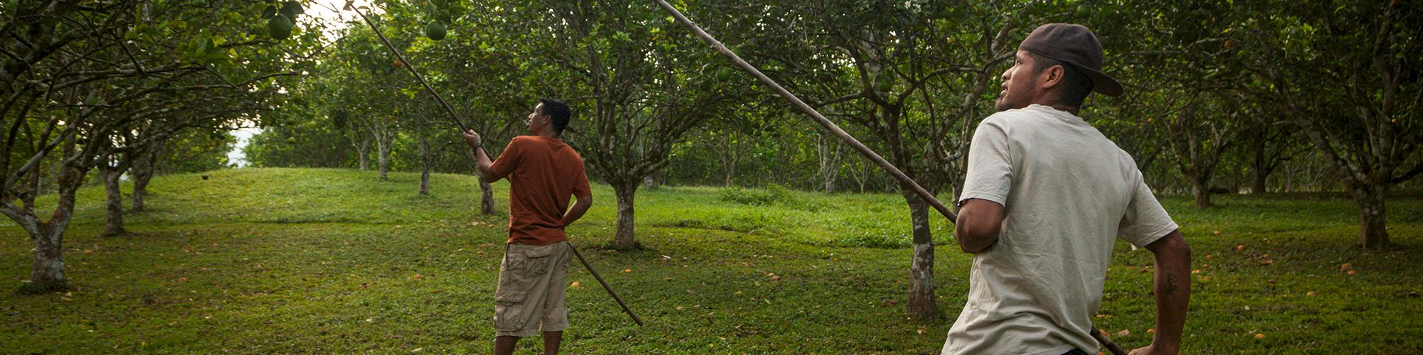 Table Rock Jungle Lodge