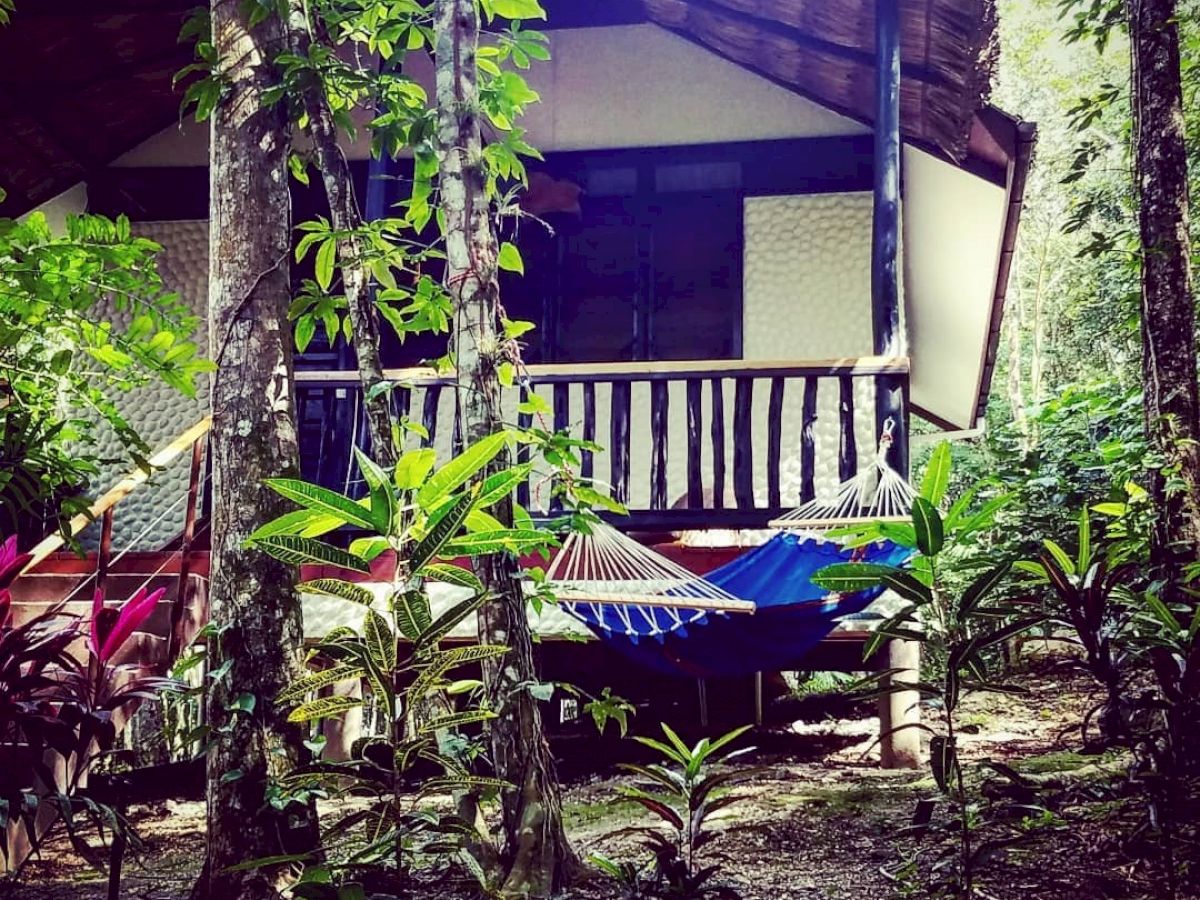 Table Rock Jungle Lodge