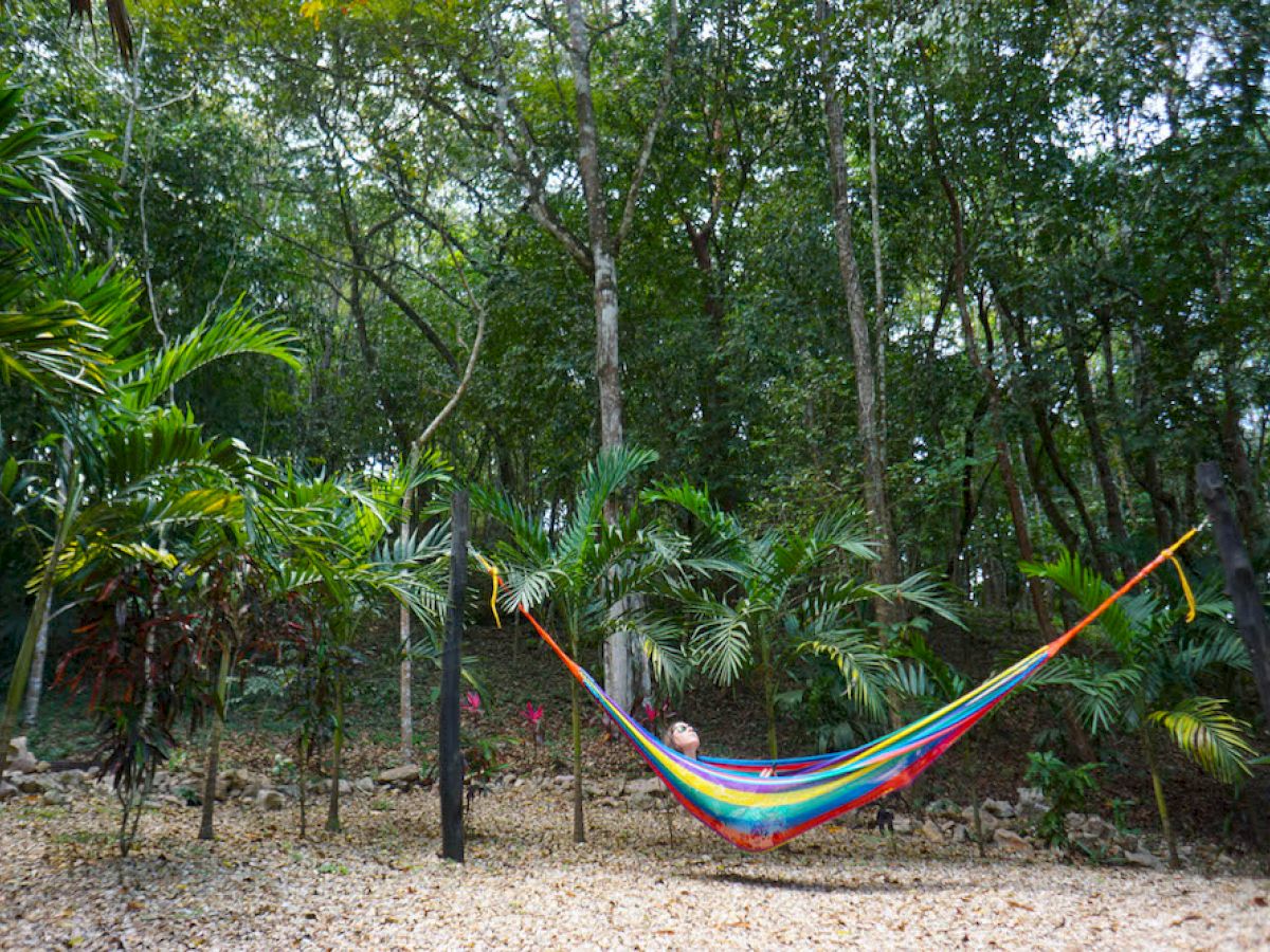 Table Rock Jungle Lodge