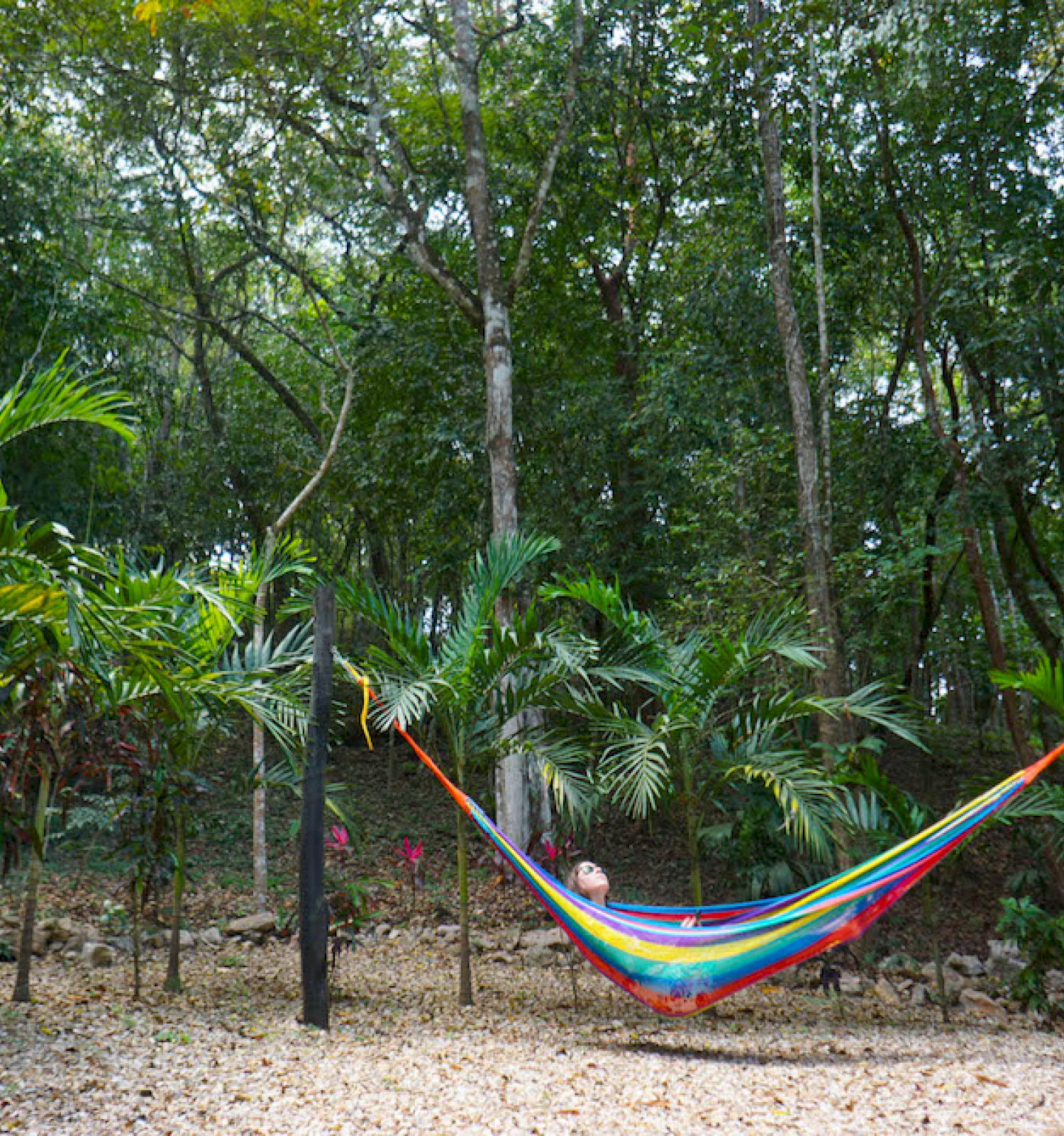 Table Rock Jungle Lodge