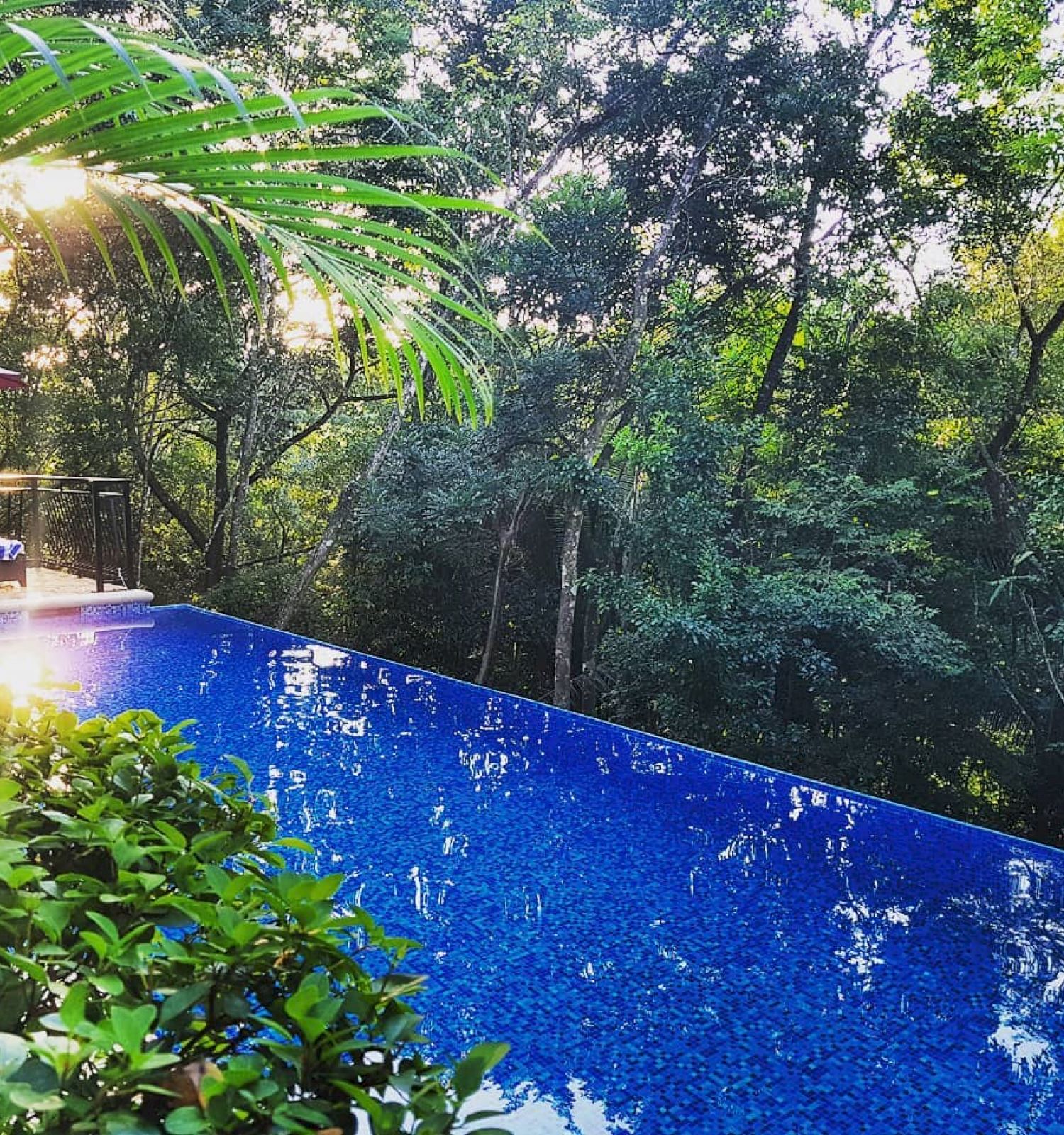 Table Rock Jungle Lodge