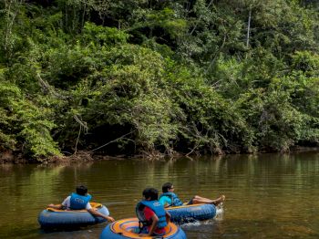 Table Rock Jungle Lodge